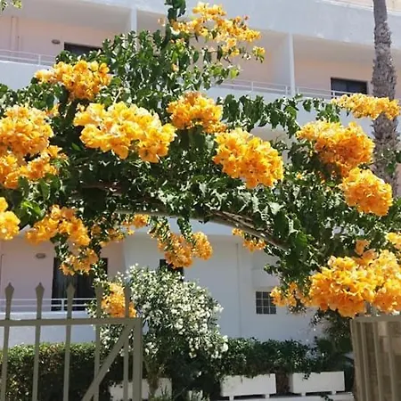 Apartamento Kardamena *