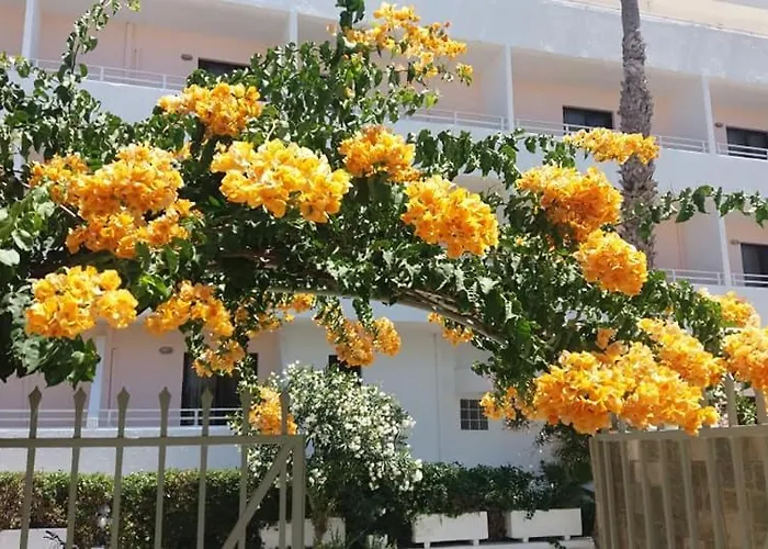 Apartamento Kardamena *